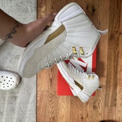 Jordan 12 Ovo 