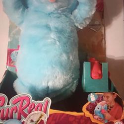 New Toy-$15 Firm,No Holds Or Spam