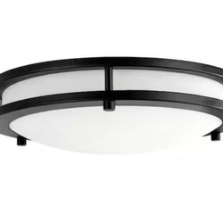 Ceiling Light with Frosted White Glass Shade
