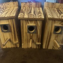 Bird Houses
