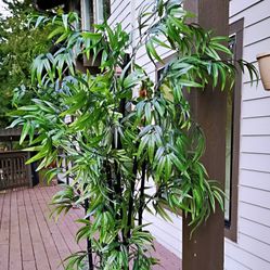 Super tall black rod artificial bamboo #5