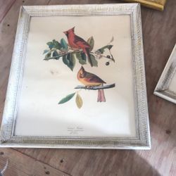 Vintage Victorian Bird Wall Decor