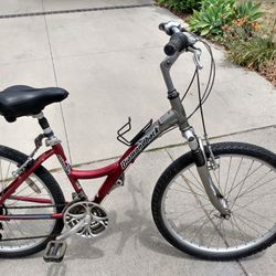 Diamondback Wildwood Deluxe, Just Tuned Up