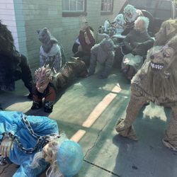 Halloween Decorations