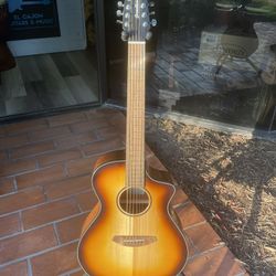 Breedlove 12 String Acoustic Guitar - Discovery S