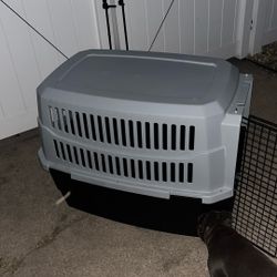 Pet Supplies