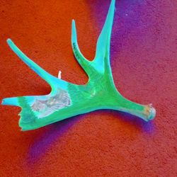 These Are  Painted By Myself 