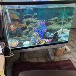 Fish TANK  60 Gallons Pump , Light , Water Heating System , Decorations Included