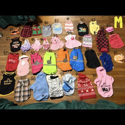 MEDIUM pet clothes 