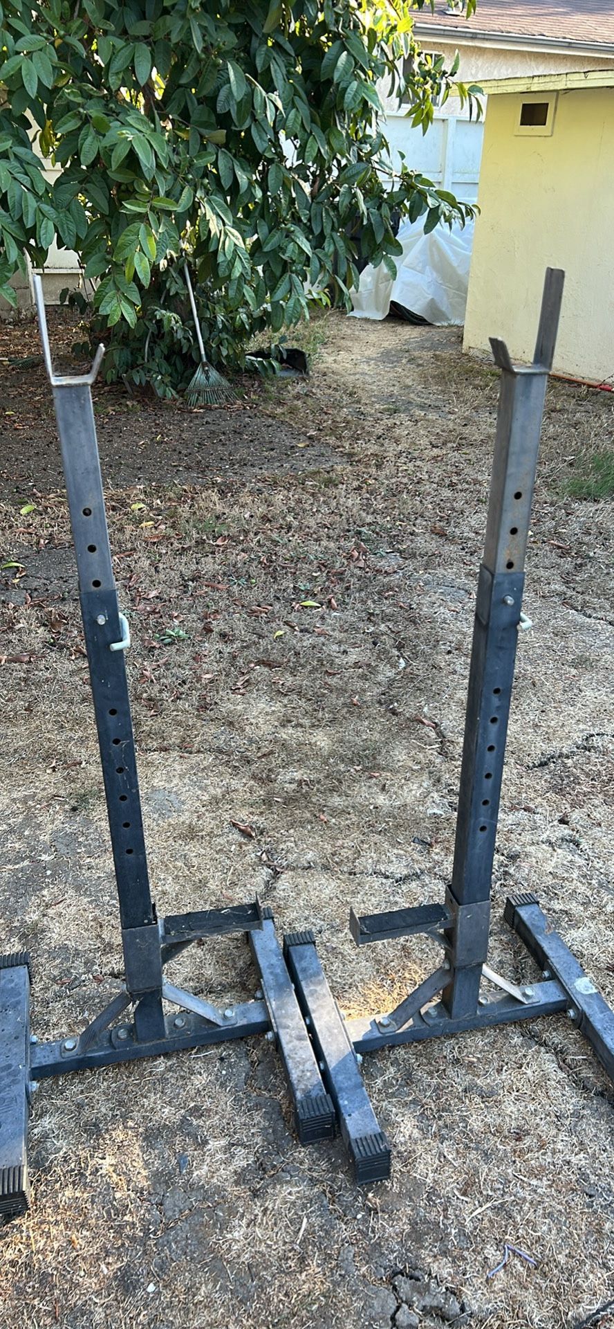 Exercise. Squat Rack