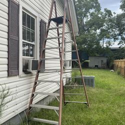12 FT Platform Ladder