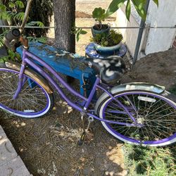 Beach Cruiser Bike