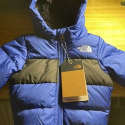 The North Face Puffer Jacket 550 
