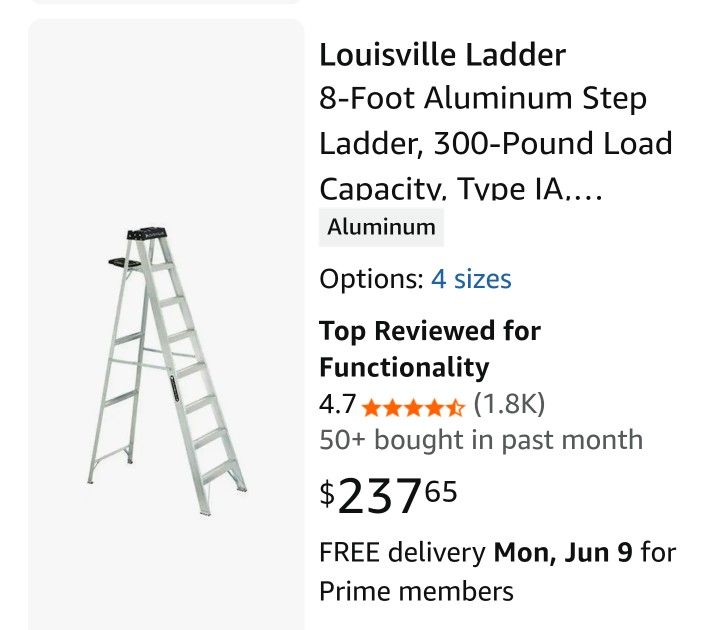 12' Aluminum Ladder