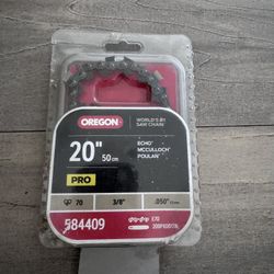 BRAND NEW Oregon 20 in. Chainsaw Bar & E72 Chain