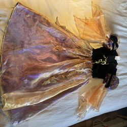 Princess/Novelty Costume