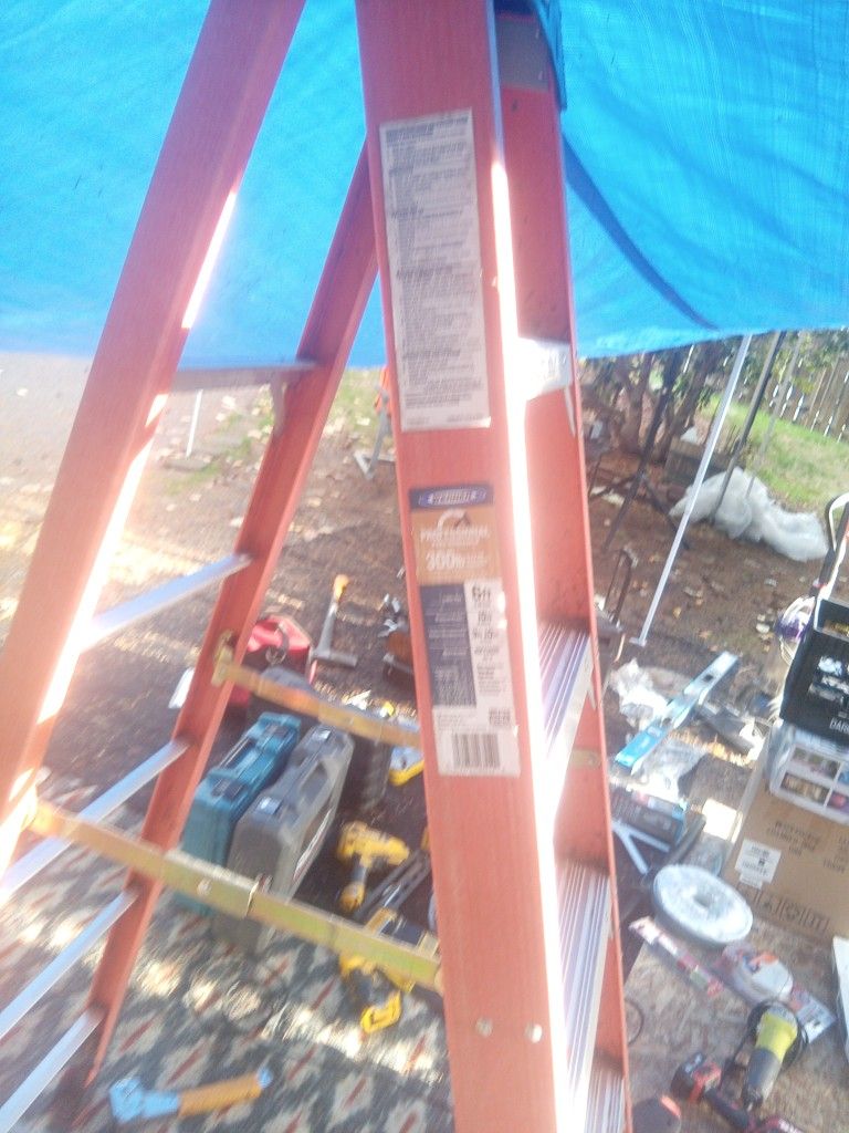 Werner Ladder 300lb Capacity