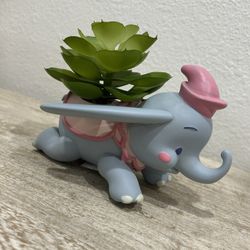 Disney Parks Dumbo Succulent Planter by Jerrod Maruyama