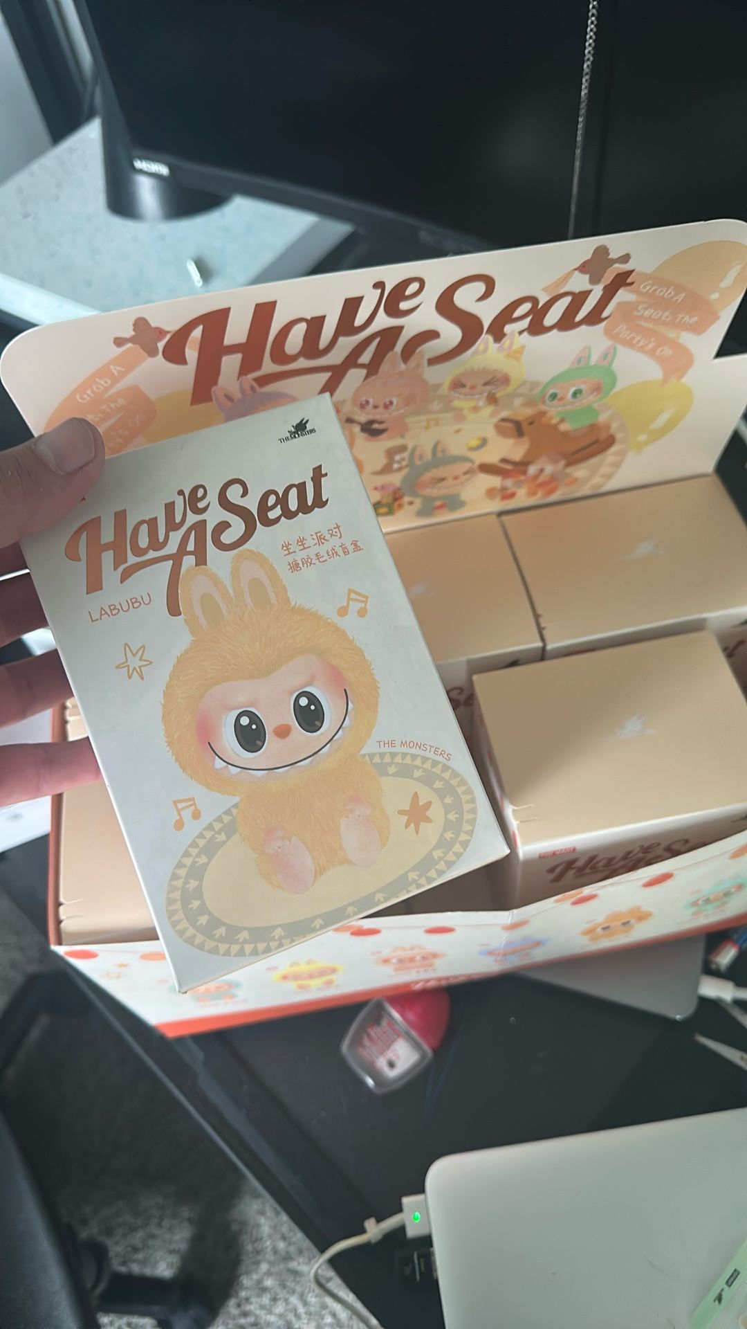 Labubu Blind Box Brand New