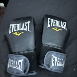 Everlast Gloves 