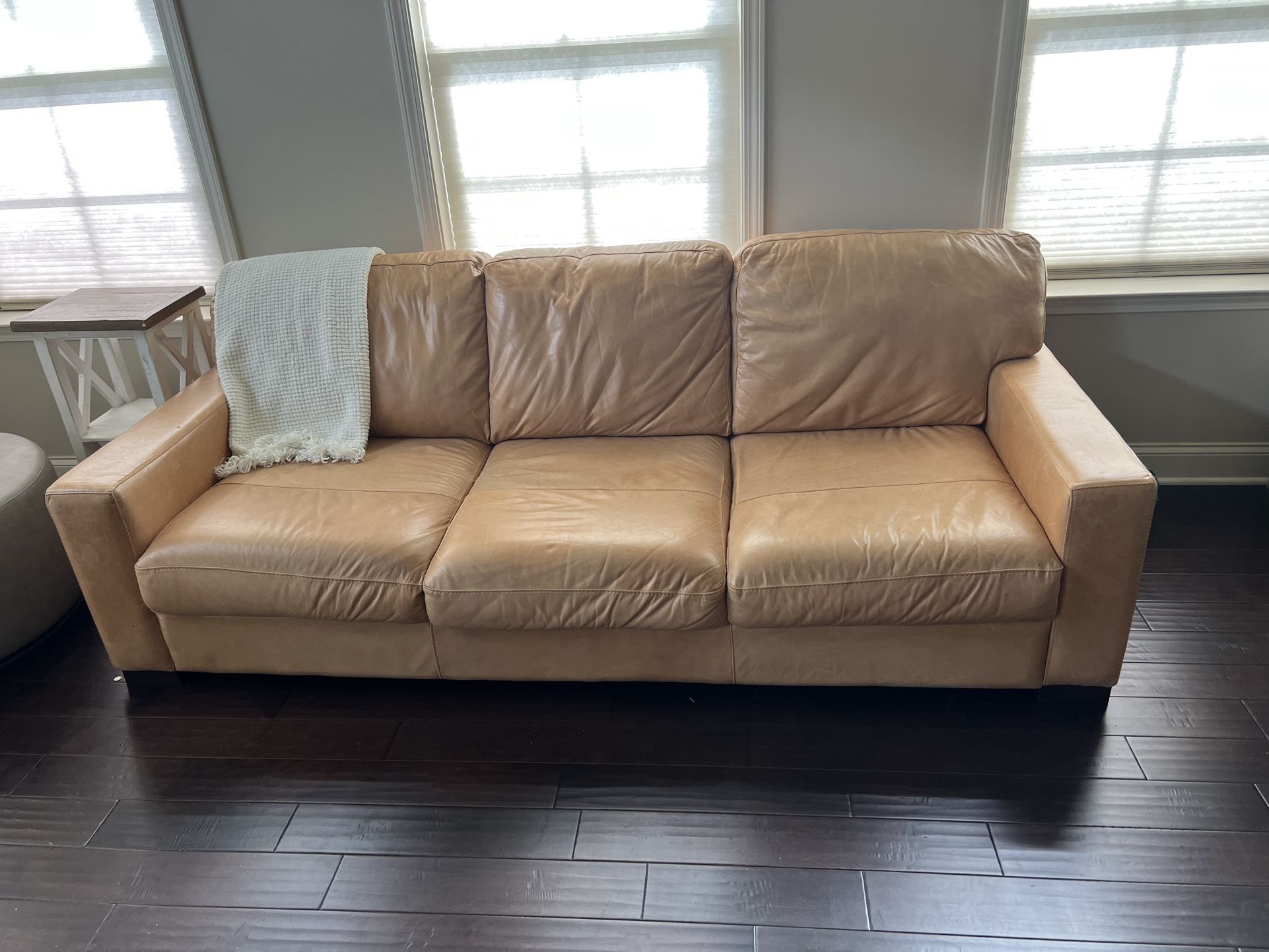 Deep Leather Couch