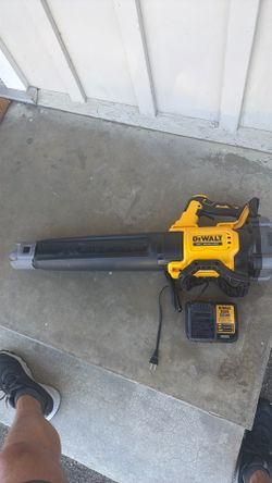 Dewalt Blower XR 20v with charger and 5ah battery