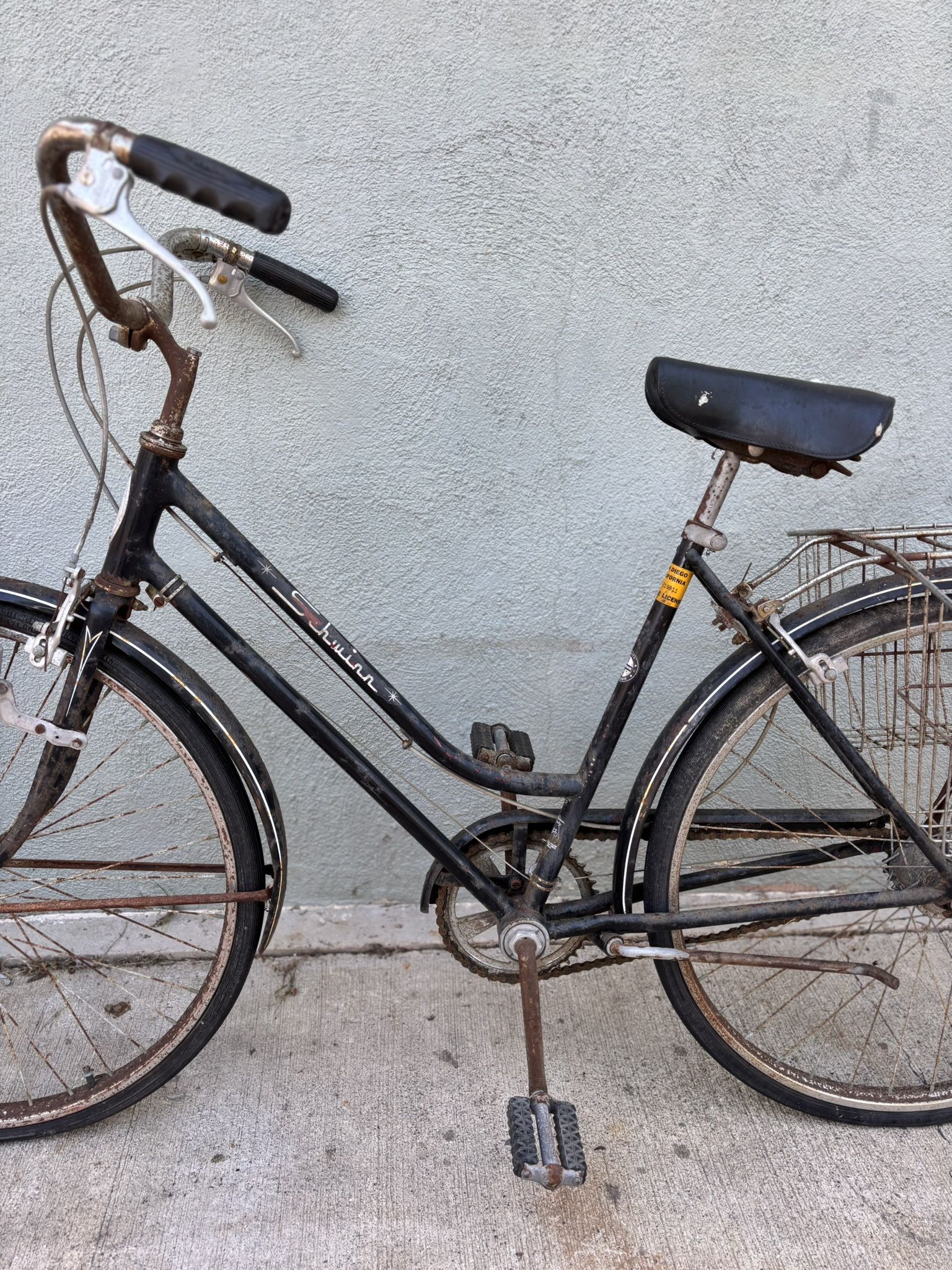 Bicycle Schwinn - vintage