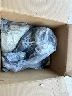 Ford Focus New Steering Knuckle with Bearing