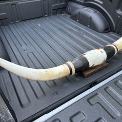 Massive 6ft LONGHORNS STEER HORNS Cowboy Decor