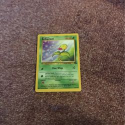 Jungle Bellsprout 1999