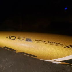 Easton BEAST Baseball Bat