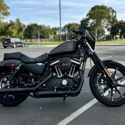 2021 HARLEY DAVIDSON SPORTSTER XL 883