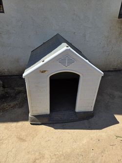 Large dog house