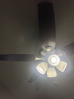 Hunter fan