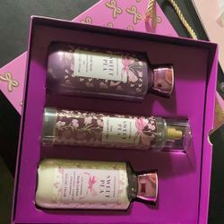 Bath & Body Works Gift Set