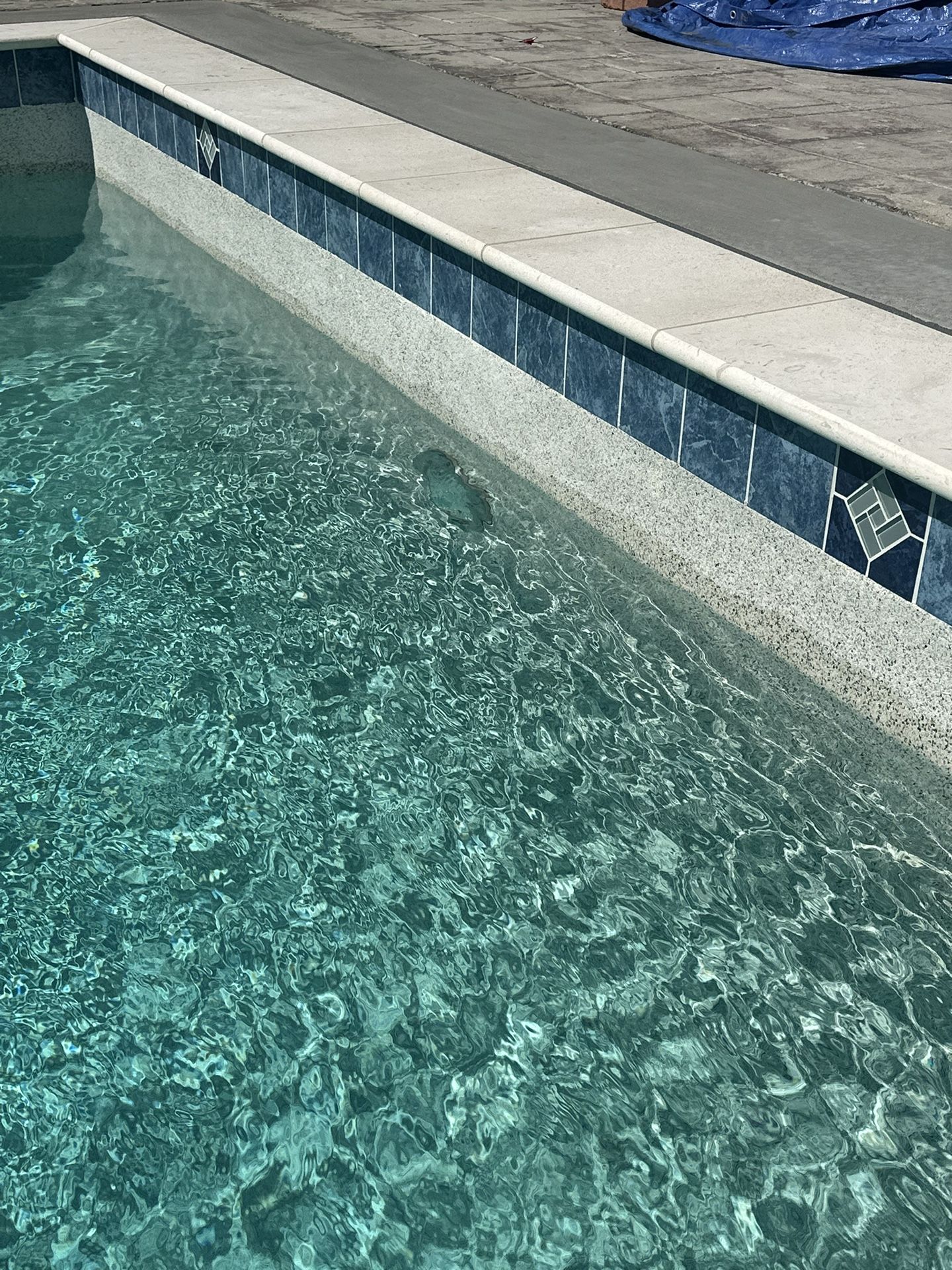 Pool / Spa