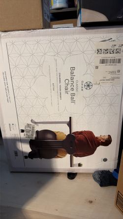 Balance Ball Chair