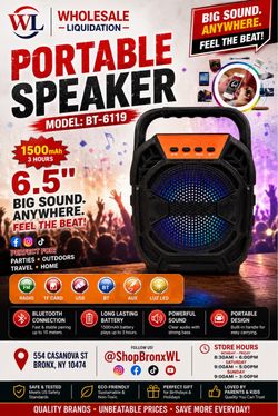 Portable Bluetooth Speaker BT-6119