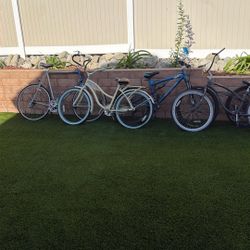 5 Bikes 