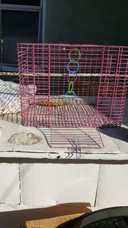 Pink bird cage