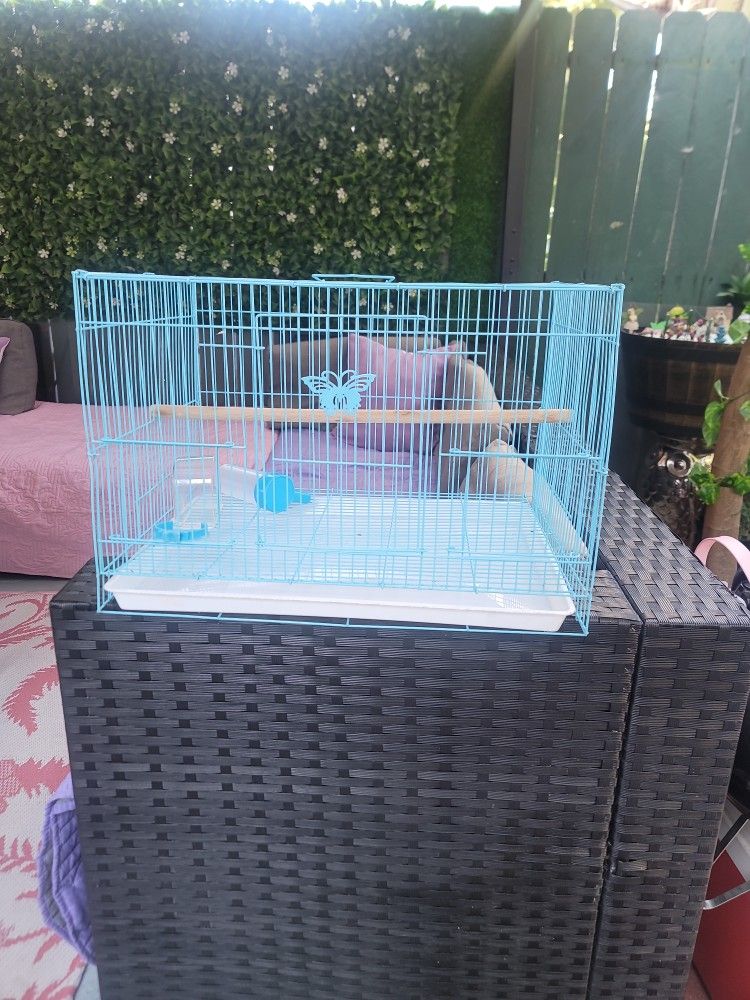 Bird Cage