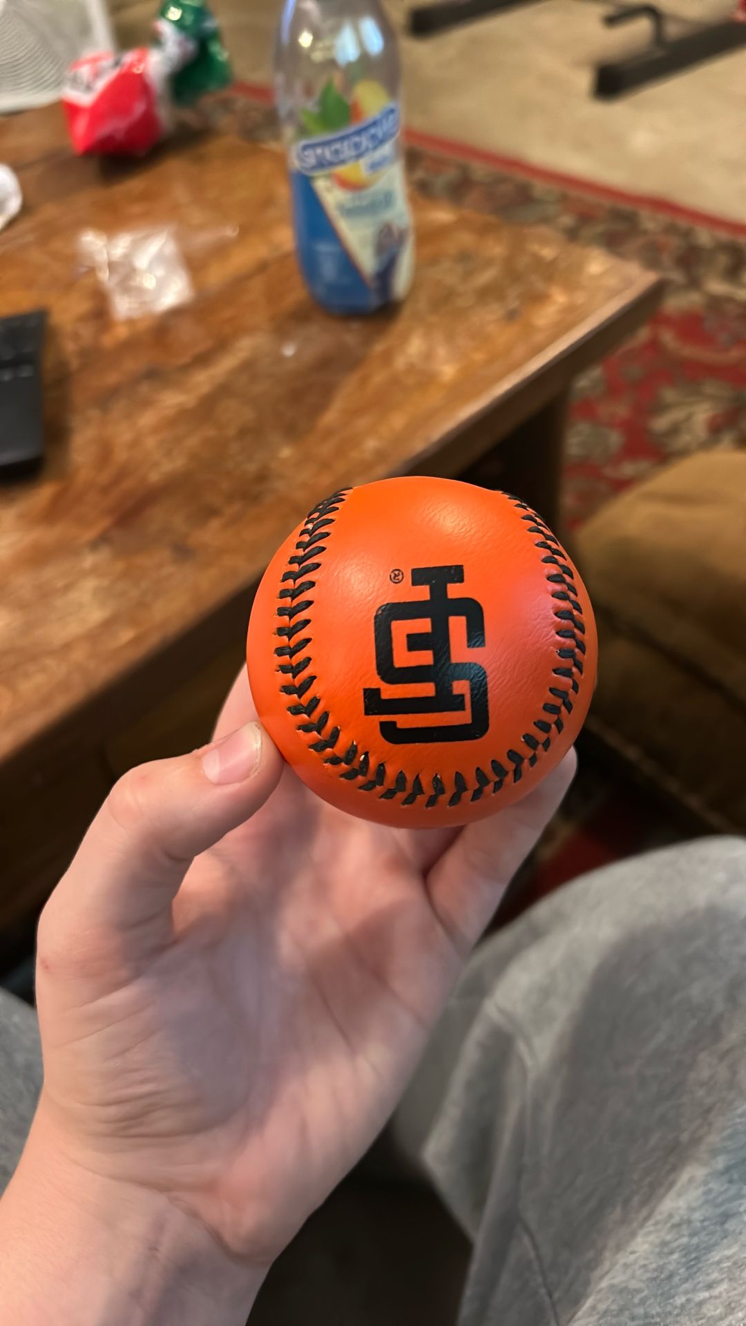 Vintage 1993 Used In Professional Baseball Games Baseballs Comes With Baseball holder