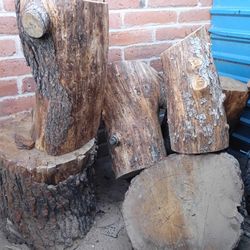 Pine Wood Logs Firewood Woodworking Fresh Cut Pine Trees 