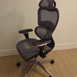 Ergonomic Office Chair