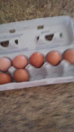 Fresh farm eaggs