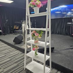 Bookshelf Ladder
