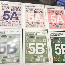 Singapore Math Set 5