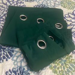 Set the Curtines Color Green