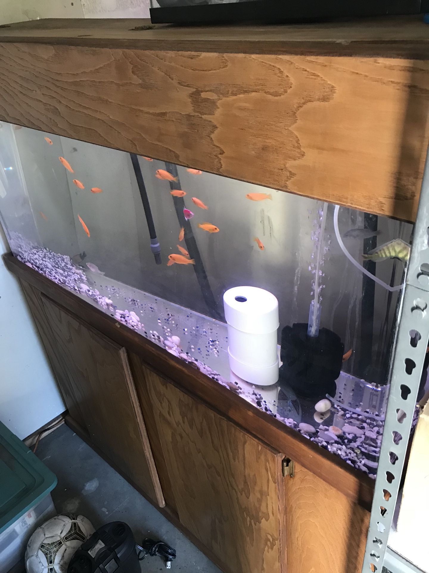 Acrílic fish tank 60 gallons!!!!!