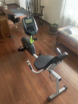 Universal r25 recumbent online bike